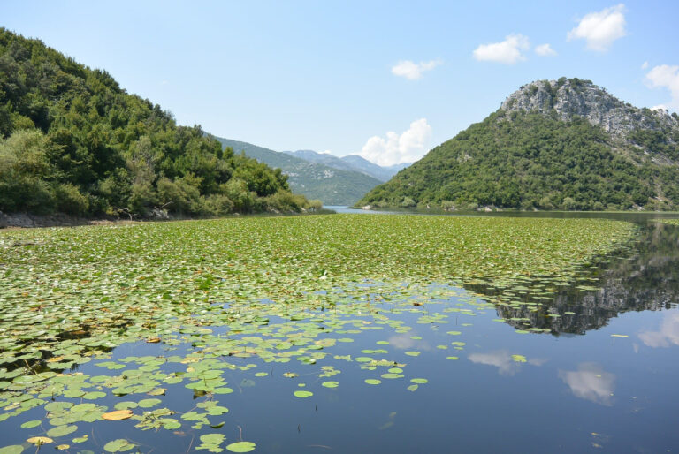 Tipy na výlet - Skadarské jezero - ddmreality